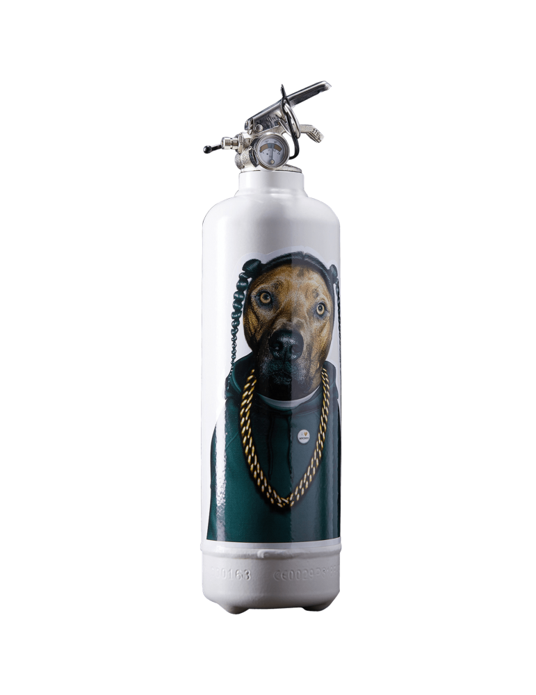 Extincteur Maison Pets Rock Snoop Extincteur Maison Pets Rock Snoop